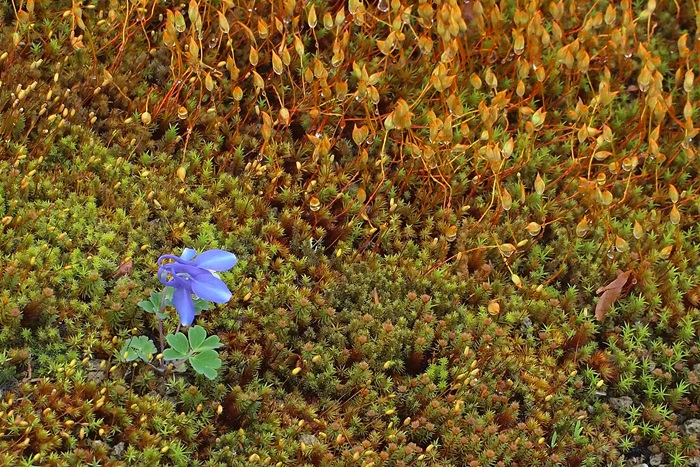 b0136812_1692124.jpg