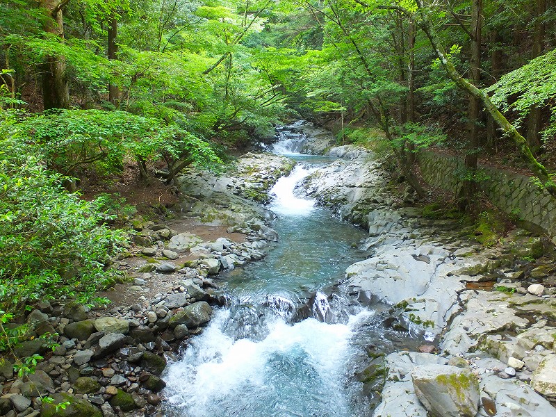 f0182513_22523345.jpg