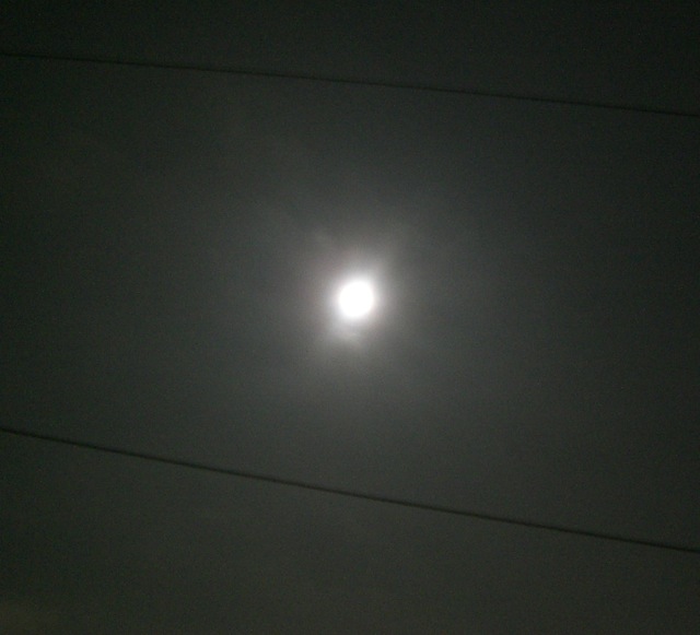 b0181015_2221952.jpg