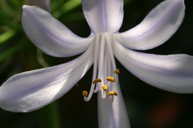e0117318_1412348.jpg