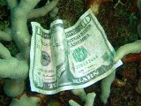海からの贈り物?(笑)_a0043520_6452261.jpg