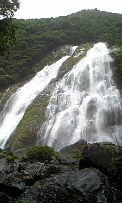 c0117621_2349163.jpg