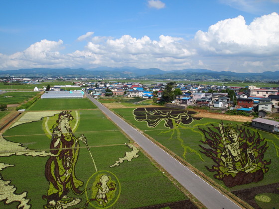 田んぼアート(田舎館村)*2012.07.03_b0147224_17442349.jpg