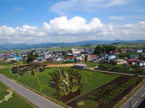 田んぼアート(田舎館村)*2012.07.03_b0147224_17484278.jpg