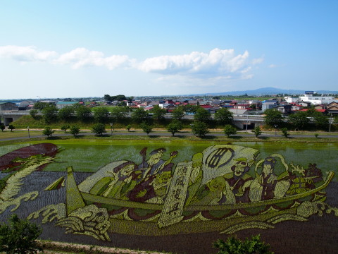 田んぼアート(田舎館村)*2012.07.03_b0147224_17512136.jpg