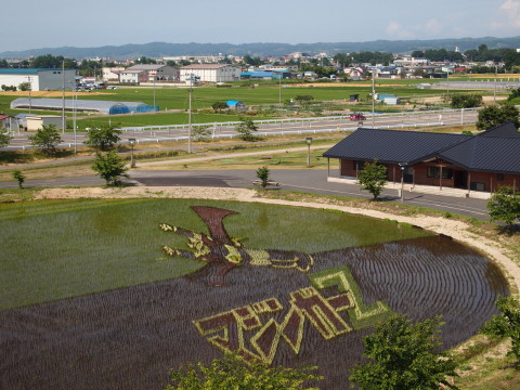 田んぼアート(田舎館村)*2012.07.03_b0147224_17521874.jpg