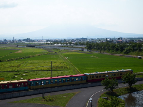 田んぼアート(田舎館村)*2012.07.03_b0147224_17573257.jpg