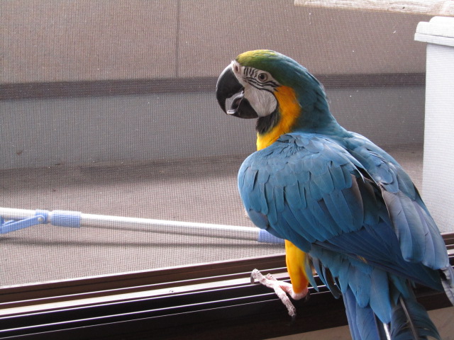 e0107730_2191449.jpg