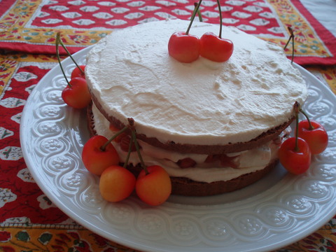 e0177330_3413715.jpg