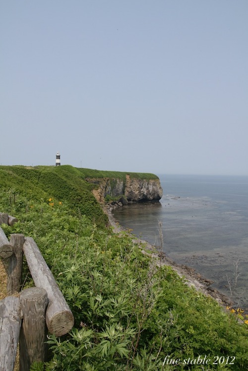 c0240132_546543.jpg