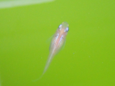 e0097534_23291072.jpg