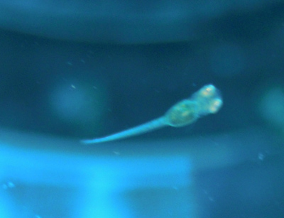 e0097534_23345386.jpg