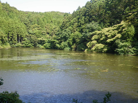 a0123836_19132637.jpg