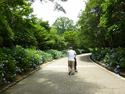 神戸市立森林植物園に行ってきました_a0076237_18551042.jpg