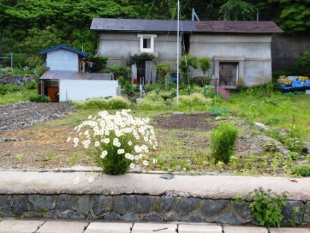 「やませ」に吹かれて～岩泉町小本・宮古市田老町_b0206037_8102826.jpg