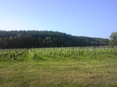 c0227640_4533558.jpg
