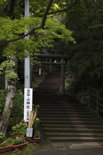 栃木市の山車会館、祭りの山車_e0143240_17512776.jpg