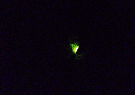 b0219741_9381862.png