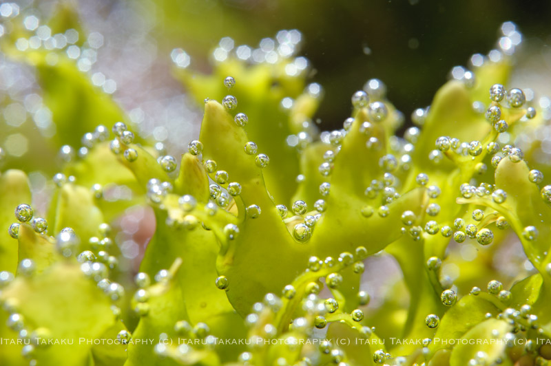 鏡面写真_b0186442_2343995.jpg