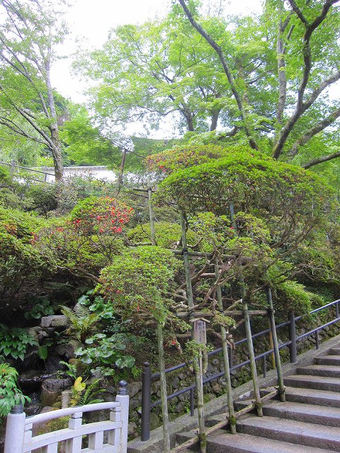 西国33ヶ寺第7番【岡寺】へ。_e0237645_16182130.jpg