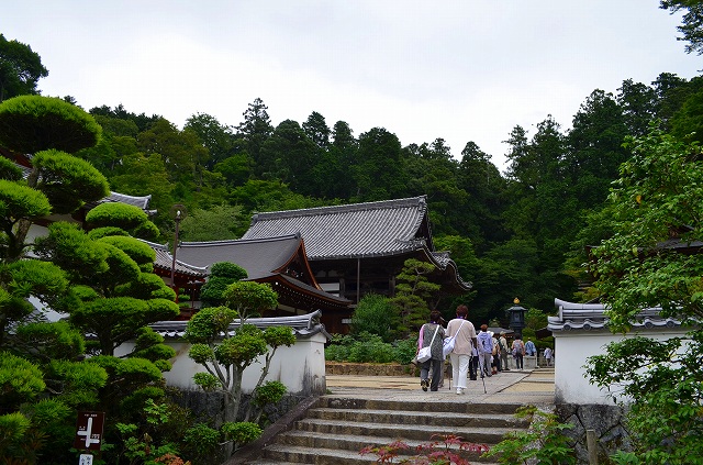 西国33ヶ寺第7番【岡寺】へ。_e0237645_1618491.jpg