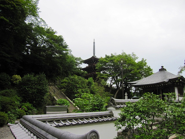 西国33ヶ寺第7番【岡寺】へ。_e0237645_16193965.jpg