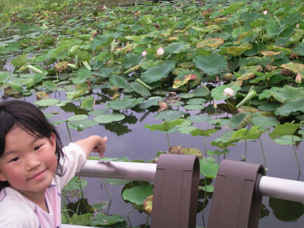 菰野_a0220846_2323235.jpg
