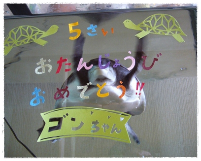 お客様お写真♪(~12年6月)_d0227246_205706.jpg