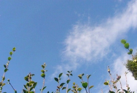e0126350_15492849.jpg