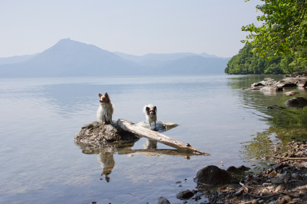 夏の支笏湖　その１_b0066154_20485258.jpg