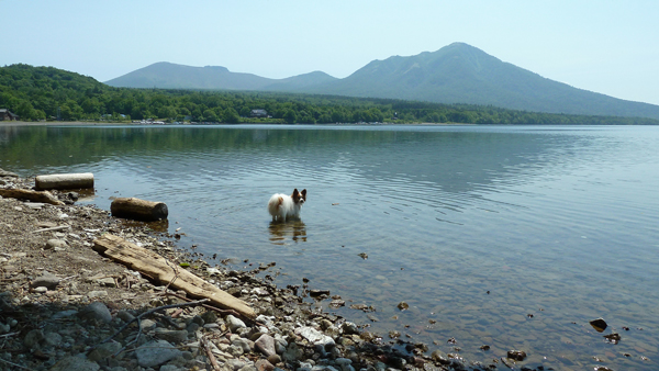 夏の支笏湖　その１_b0066154_23412017.jpg