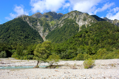 a0248459_17222066.jpg