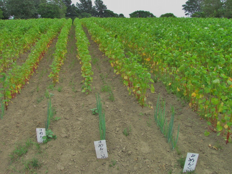 b0144560_20121337.jpg
