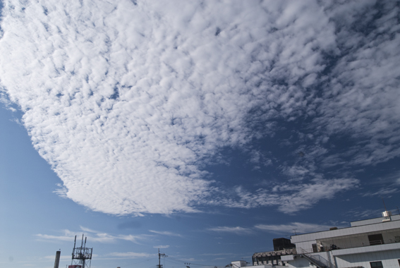  今日も曇天青空を見たいですね_f0231460_202071.jpg