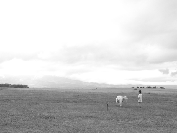 c0163369_0171315.jpg