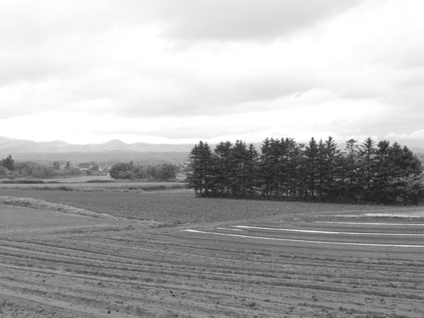 c0163369_0172817.jpg
