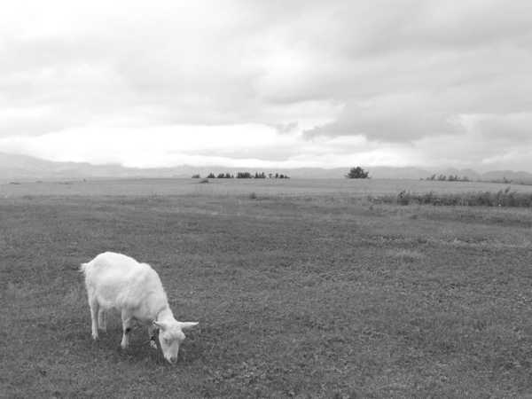 c0163369_0173520.jpg
