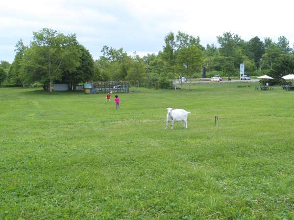 c0163369_0174911.jpg