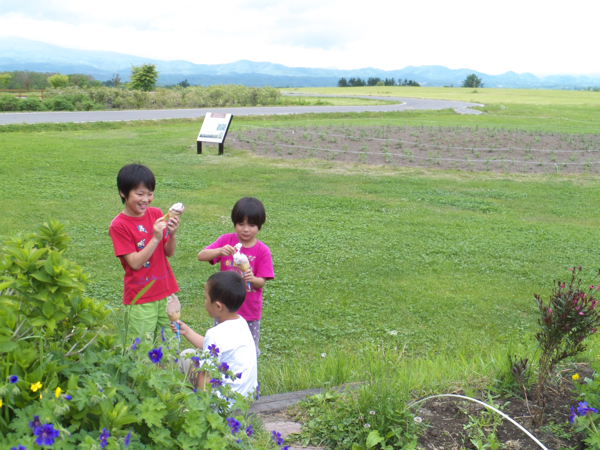 c0163369_0183835.jpg