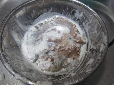 e0120575_1785655.jpg