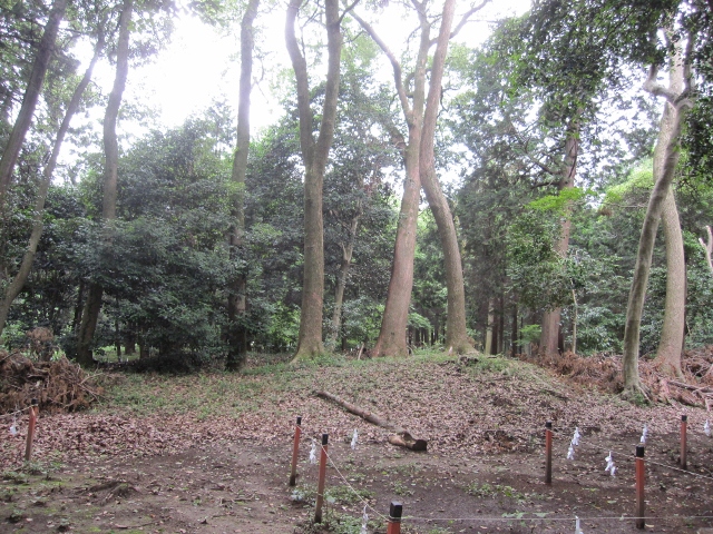 「鬼に訊け　宮大工　西岡常一の遺言」を、京都シネマで観てきました。_f0203477_1553687.jpg