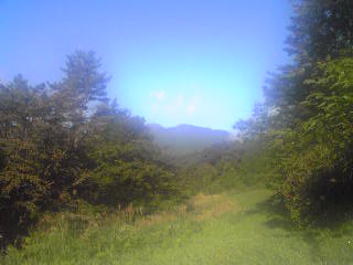 d0262778_2022570.jpg