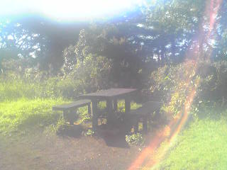 d0262778_2024756.jpg