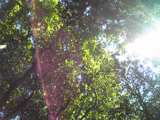 d0262778_204354.jpg