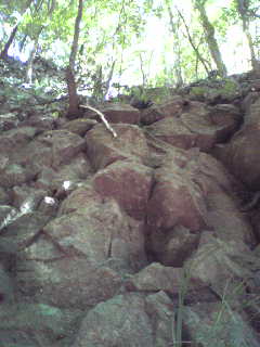 d0262778_205047.jpg