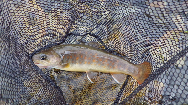 f0124378_21492883.jpg