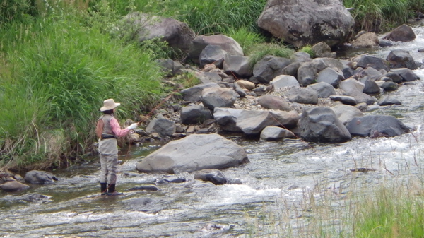 f0124378_21514643.jpg