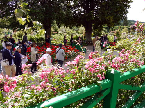 c0090198_312235.jpg
