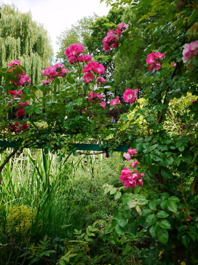c0090198_32047100.jpg