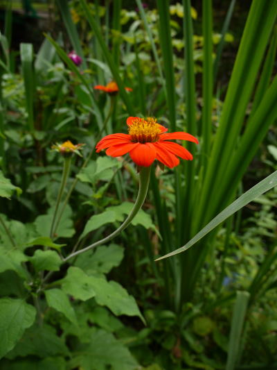 c0090198_3262892.jpg